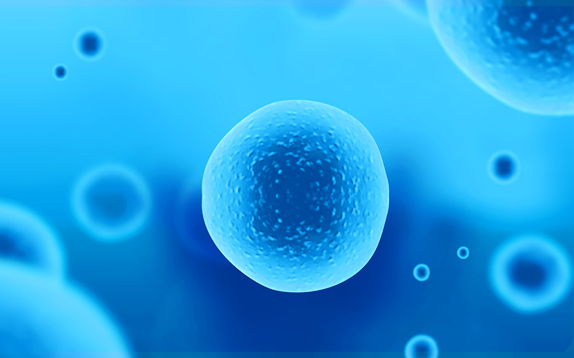 穩(wěn)定細胞株構建