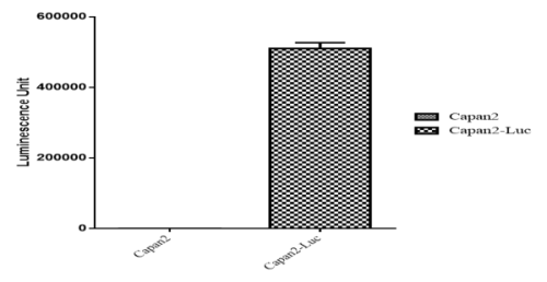 CBP30210L 信號(hào)